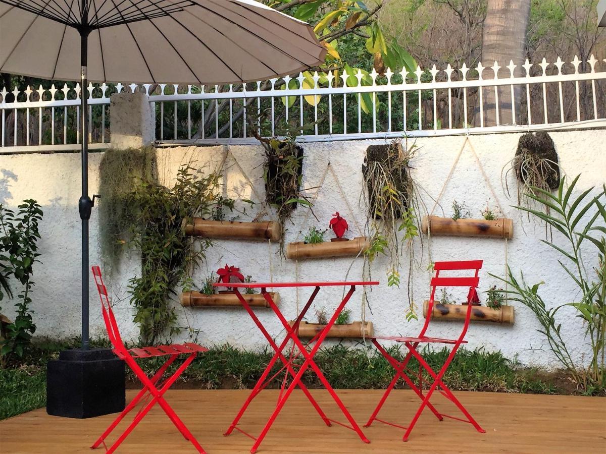 Studio Charmant Au Coeur De Boucan Canot 30 M² Avec Jardin Prive Saint-Paul エクステリア 写真
