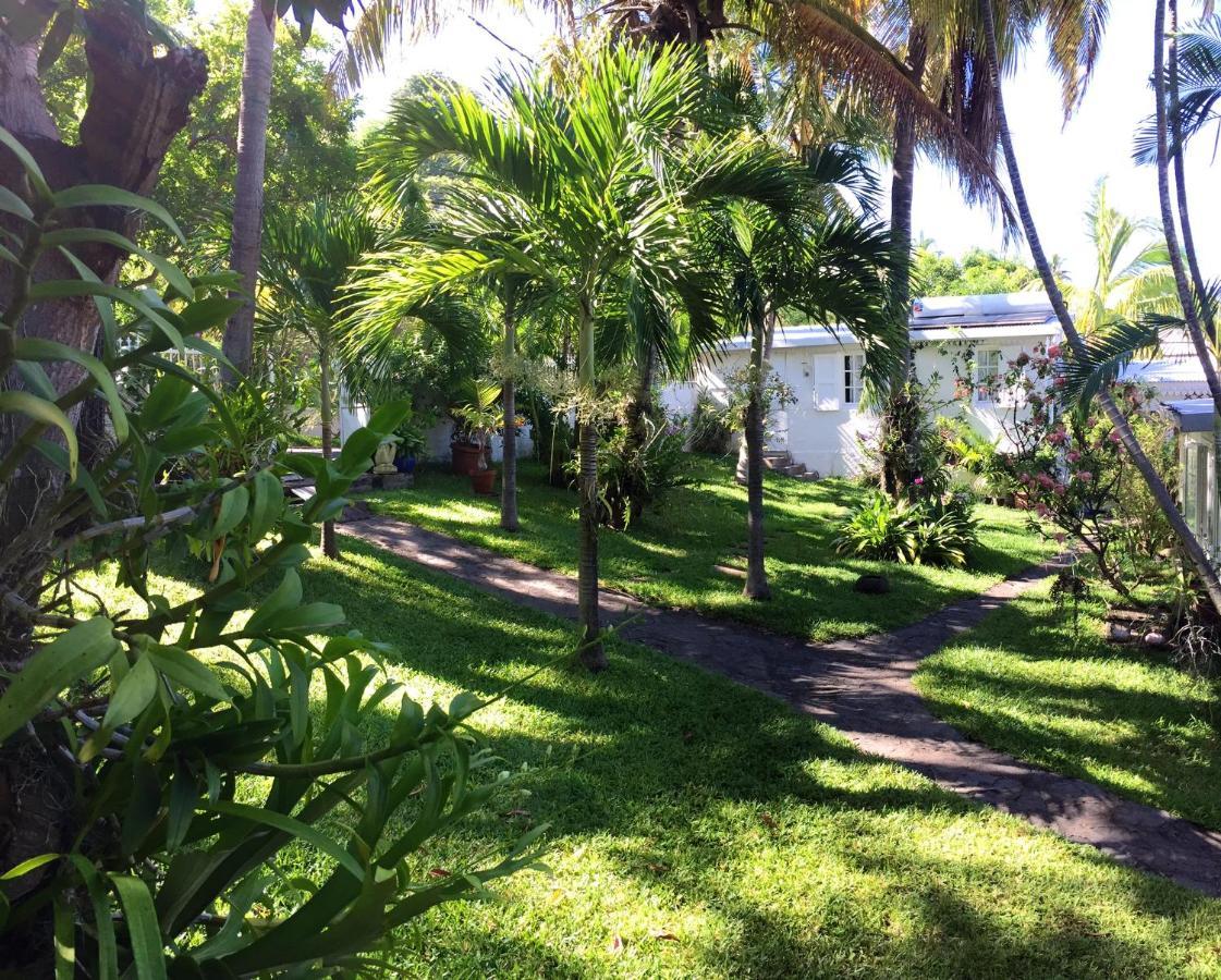 Studio Charmant Au Coeur De Boucan Canot 30 M² Avec Jardin Prive Saint-Paul エクステリア 写真