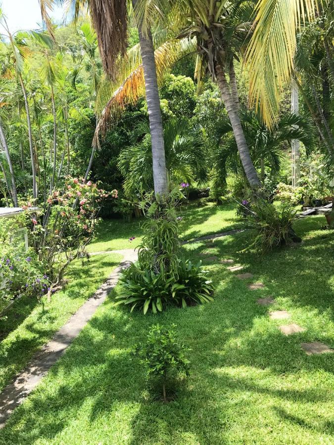 Studio Charmant Au Coeur De Boucan Canot 30 M² Avec Jardin Prive Saint-Paul エクステリア 写真